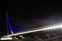 Ponte di Calatrava in notturna bella