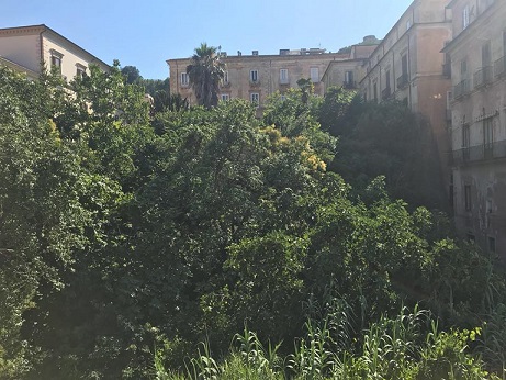 Giardino Passalacqua abbandonato Centro storico